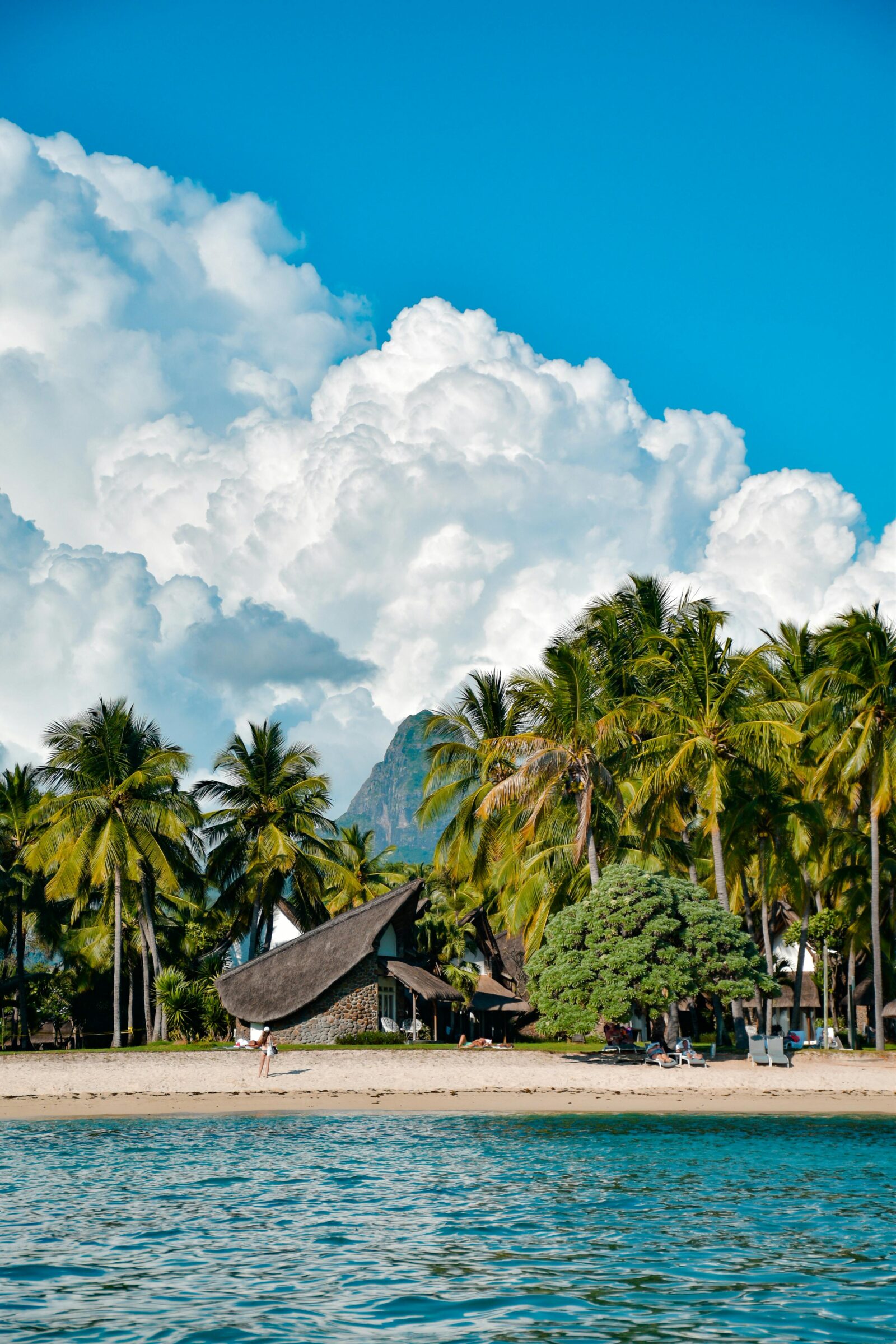 luxe woning op strand met palmbomen tijdens luxe reis